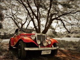 Jean Tosetto Brasilien Bj 10/74 Jean Tosetto Brasilien Bj 10/74